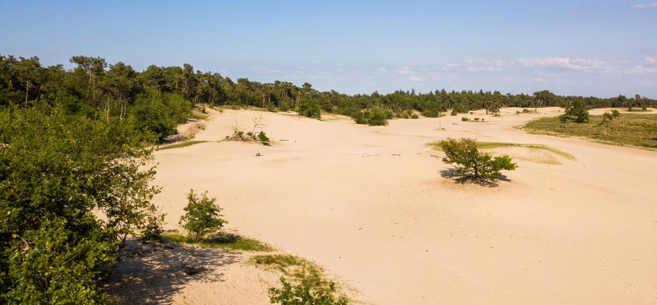 Drunense Duinen